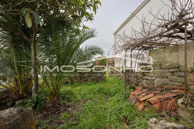 Terreno Agricola ou Rústico para Venda em Maiorga Foto 23