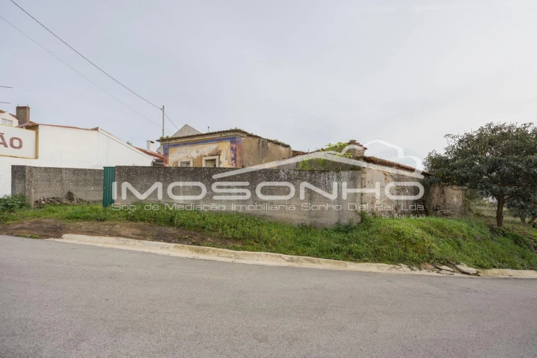 Terreno Agricola ou Rústico para Venda em Maiorga Foto 3