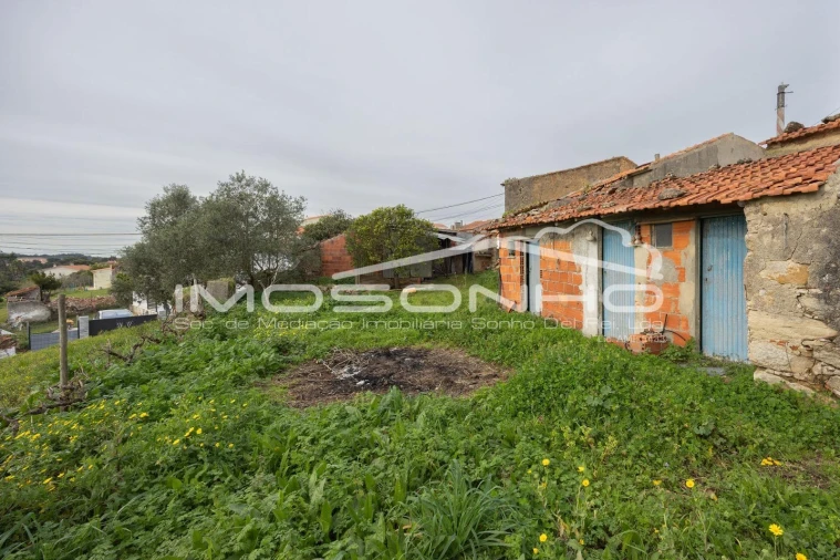 Terreno Agricola ou Rústico para Venda em Maiorga Foto 36