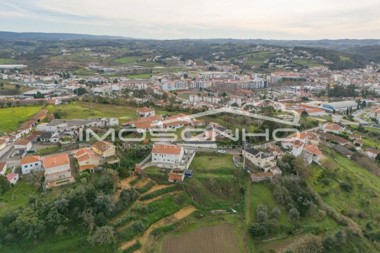 Terreno Agricola ou Rústico para Venda em Maiorga Foto 37