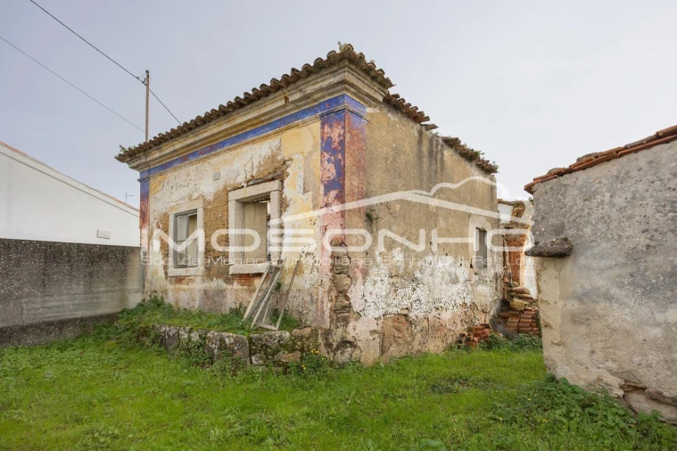 Terreno Agricola ou Rústico para Venda em Maiorga Foto 41