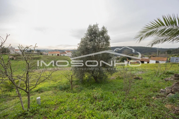 Terreno Agricola ou Rústico para Venda em Maiorga Foto 43