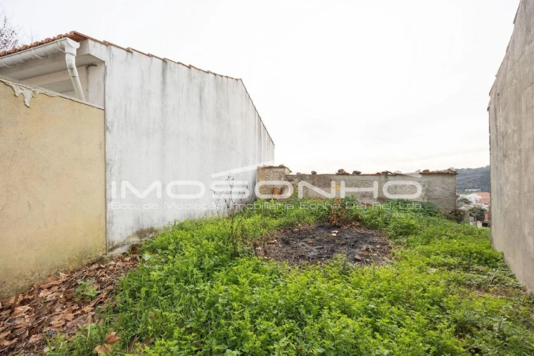 Terreno Agricola ou Rústico para Venda em Maiorga Foto 6