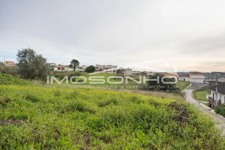 Terreno Agricola ou Rústico para Venda em Maiorga Foto 9