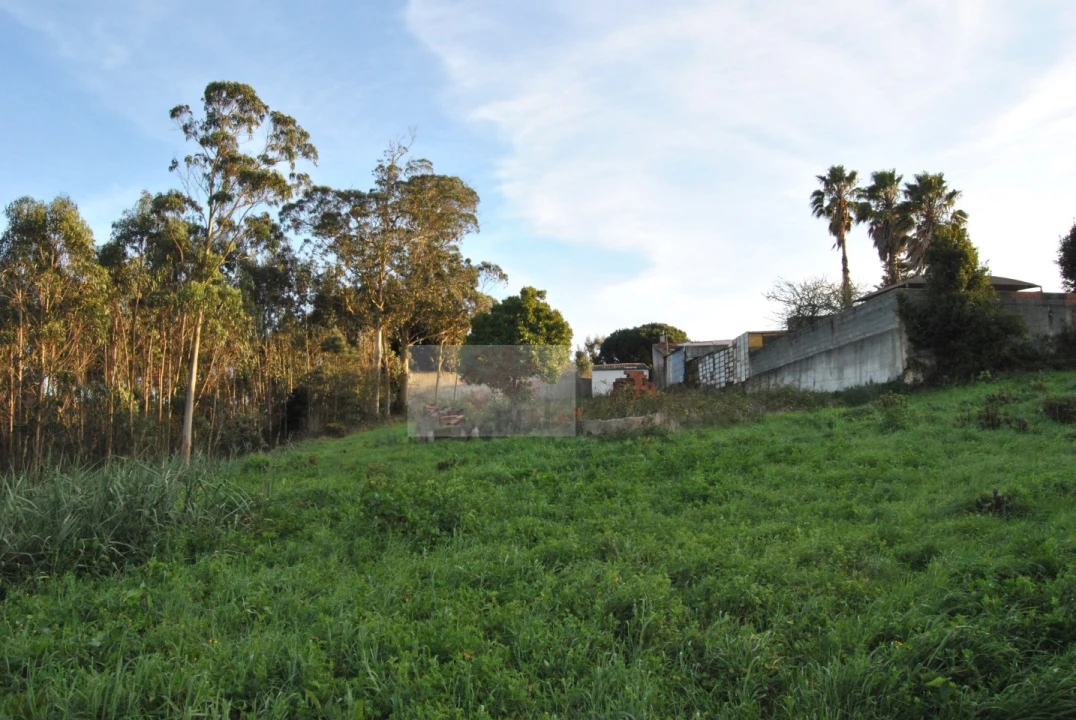 Terreno para Venda em Tornada e Salir do Porto Foto 1