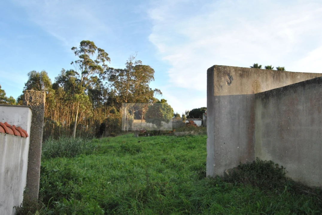 Terreno para Venda em Tornada e Salir do Porto Foto 7