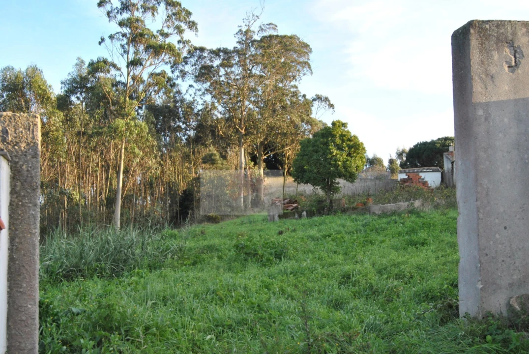 Terreno para Venda em Tornada e Salir do Porto Foto 8