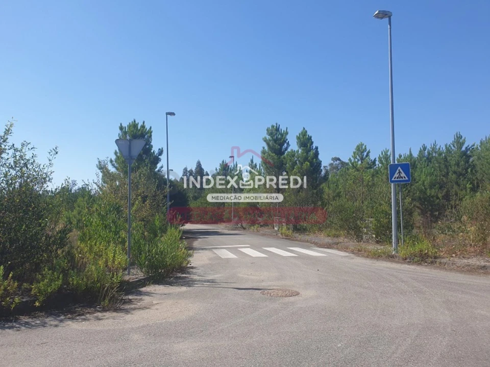 Terreno para Venda em Valongo do Vouga Foto 3