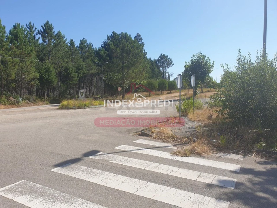 Terreno para Venda em Valongo do Vouga Foto 4