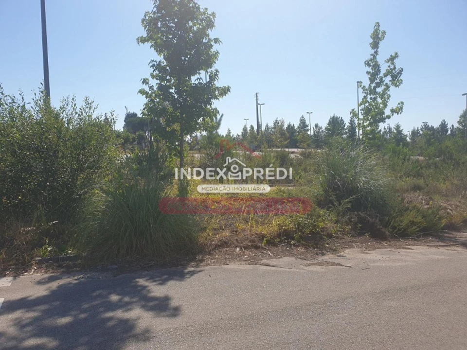 Terreno para Venda em Valongo do Vouga Foto 2