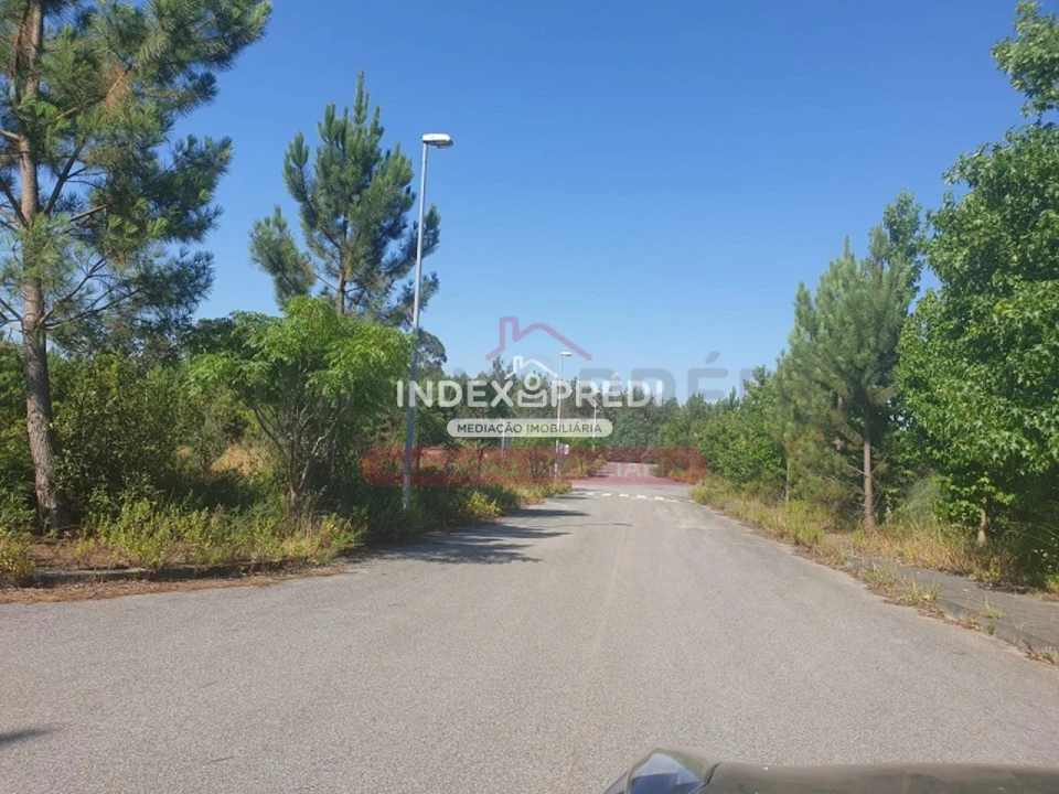Terreno para Venda em Valongo do Vouga Foto 6