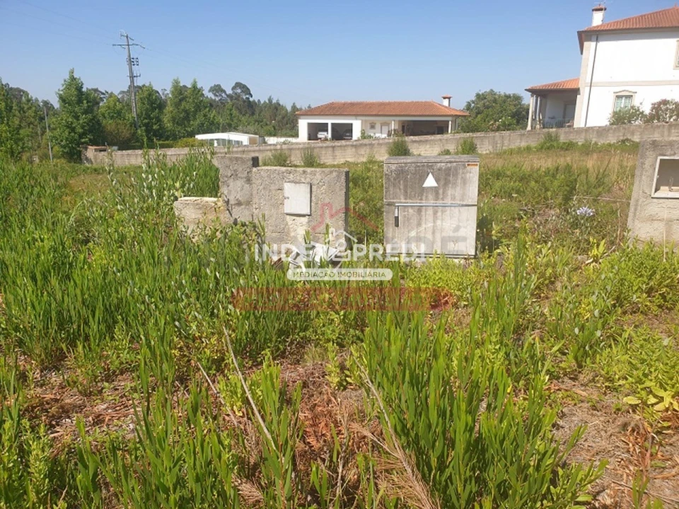 Terreno para Venda em Valongo do Vouga Foto 7