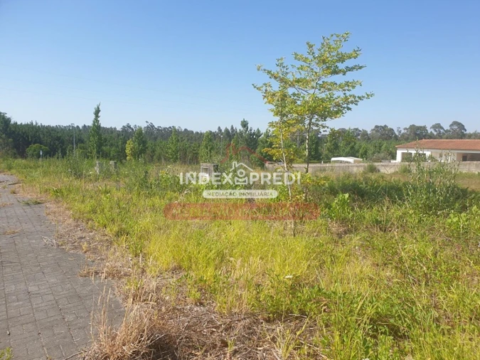 Terreno para Venda em Valongo do Vouga Foto 9