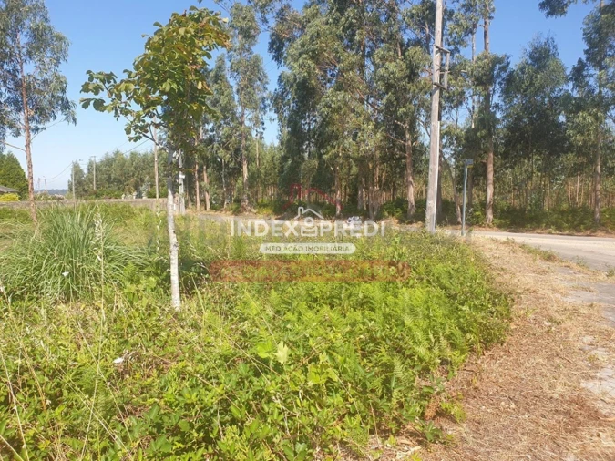 Terreno para Venda em Valongo do Vouga Foto 10