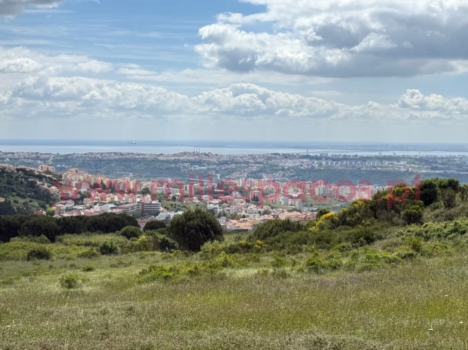 Terreno P/ Prédio para Venda em Ramada e Caneças Foto 2