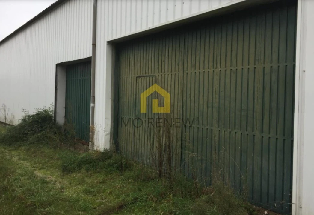 Armazém para Venda em Areias, Sequeirô, Lama e Palmeira Foto 8