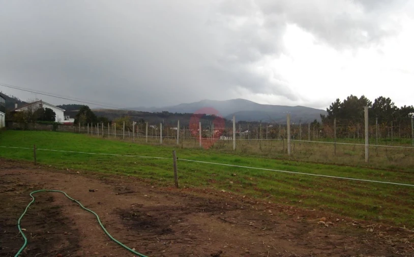 Terreno para Venda em Messegães, Valadares e Sá Foto 3