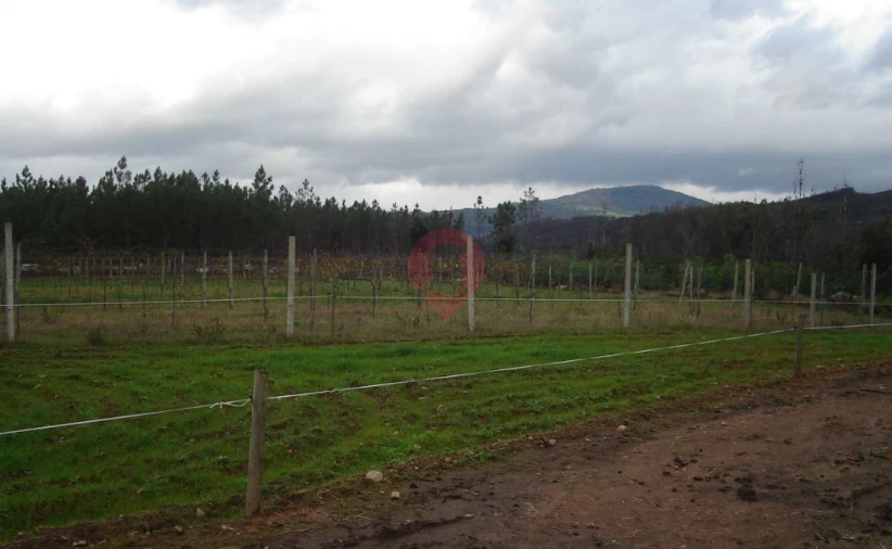 Terreno para Venda em Messegães, Valadares e Sá Foto 2