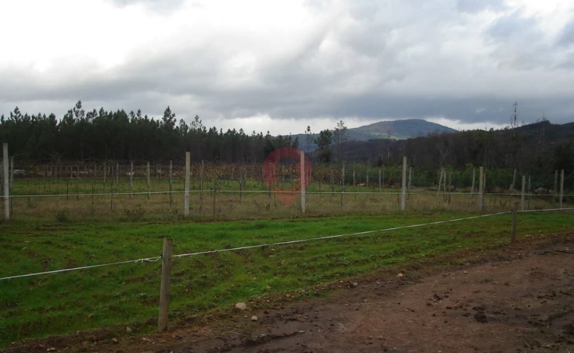 Terreno para Venda em Messegães, Valadares e Sá Foto 2