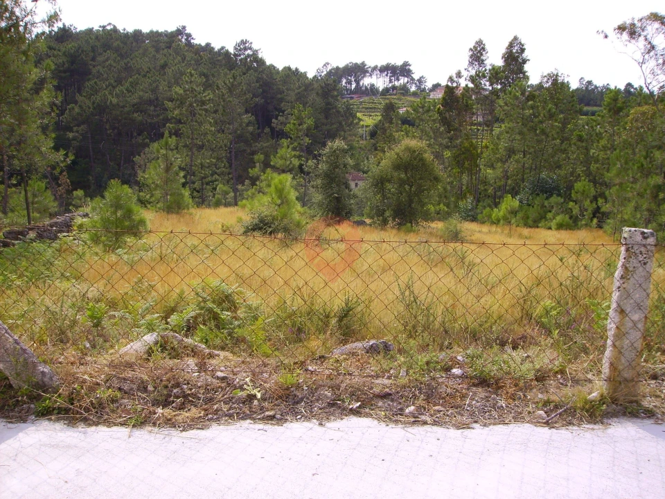Terreno para Venda em Ceivães e Badim Foto 1