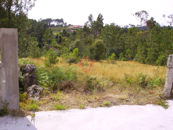 Terreno para Venda em Ceivães e Badim Foto 8