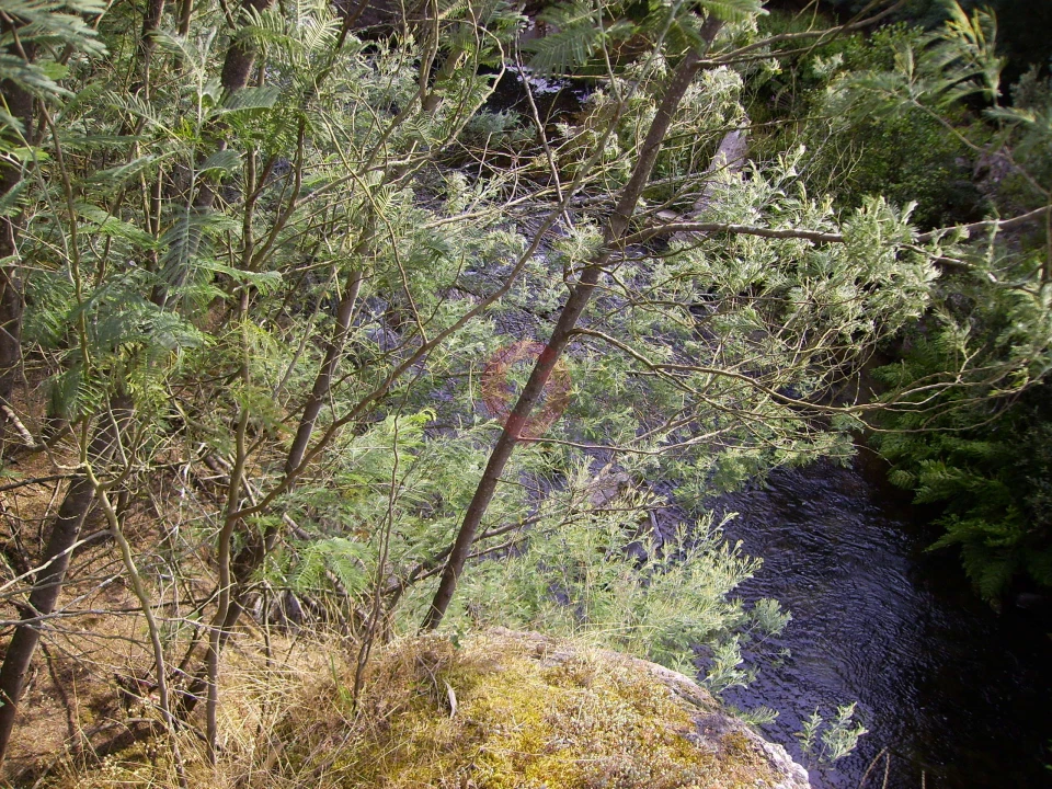 Terreno para Venda em Ceivães e Badim Foto 3