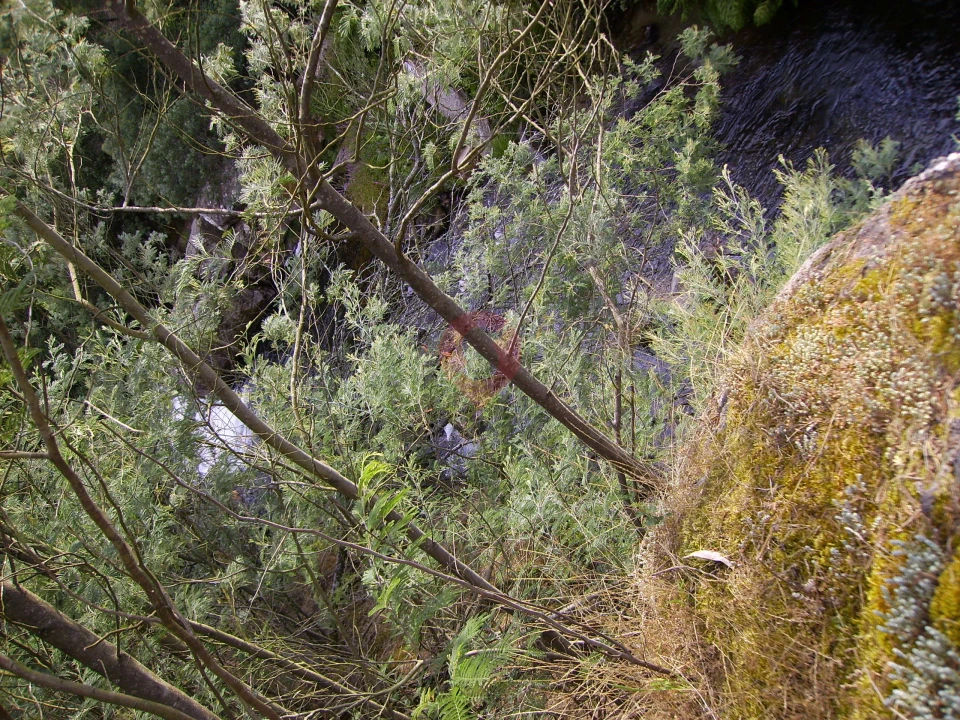 Terreno para Venda em Ceivães e Badim Foto 5