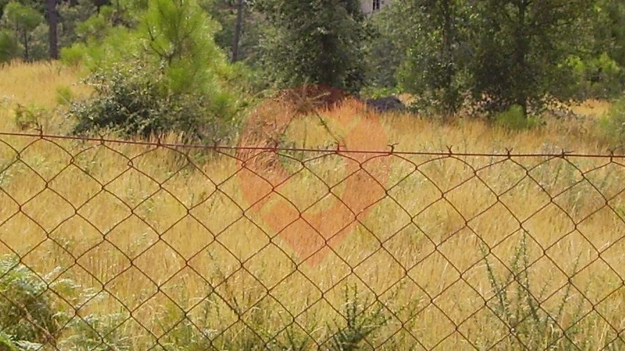 Terreno para Venda em Ceivães e Badim