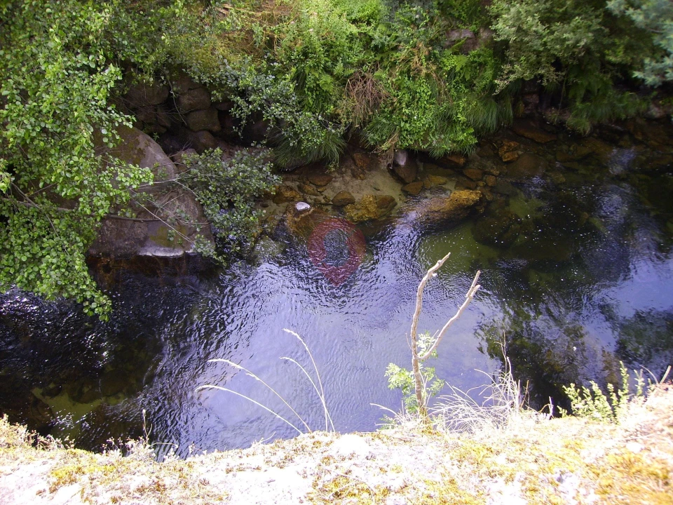 Terreno para Venda em Ceivães e Badim Foto 4