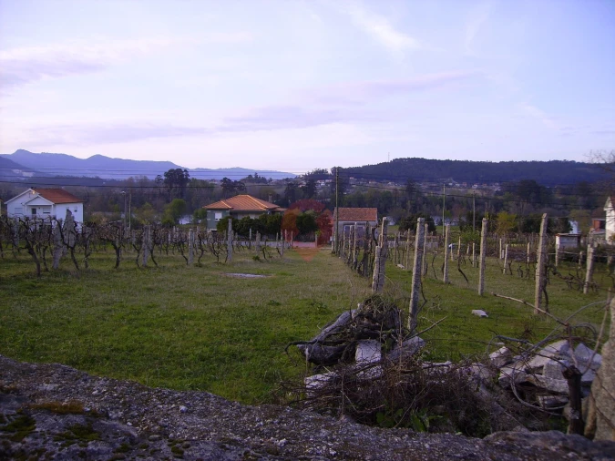 Terreno para Venda em Ganfei Foto 3