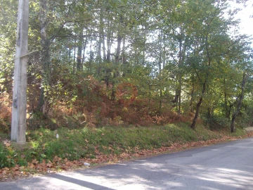 Terreno para Venda em Bela