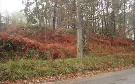 Terreno para Venda em Bela
