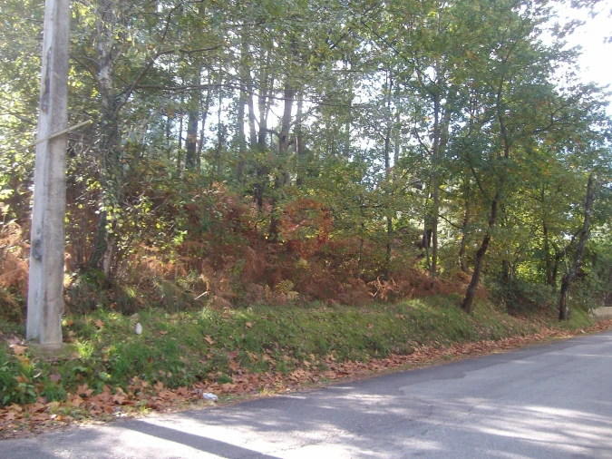 Terreno para Venda em Bela