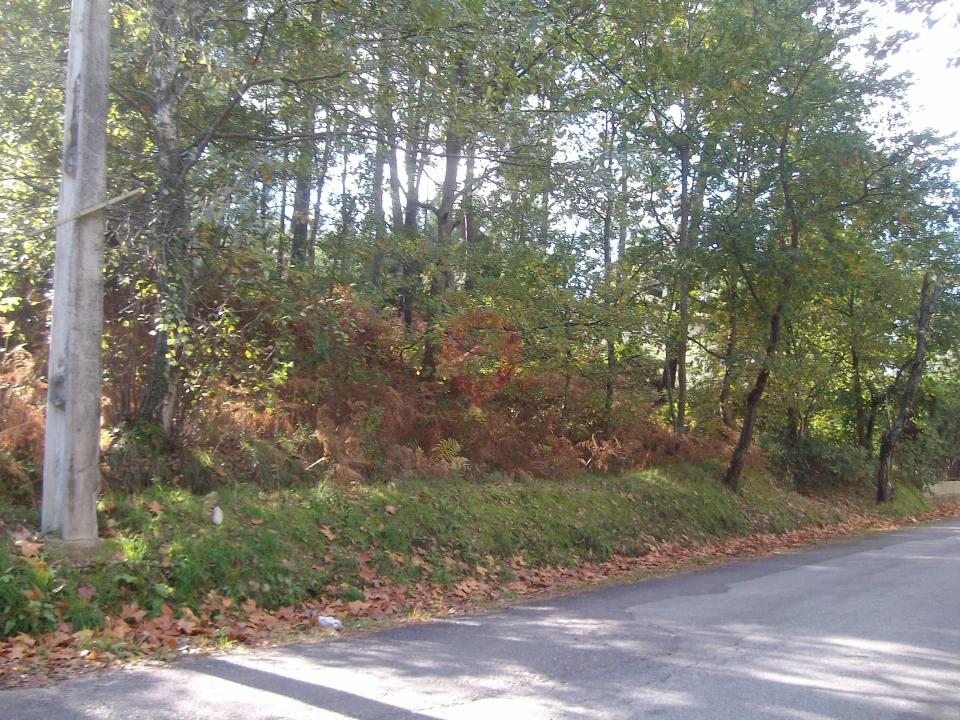 Terreno para Venda em Bela Foto 1