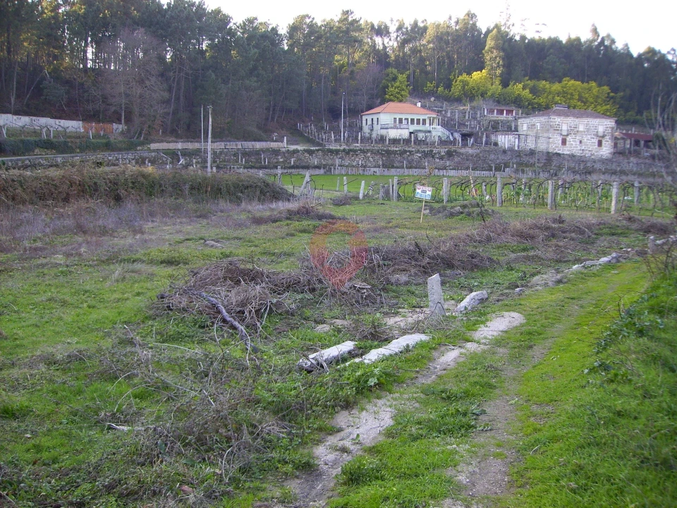 Terreno para Venda em Troporiz e Lapela Foto 1