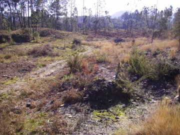 Terreno para Venda em Barbeita