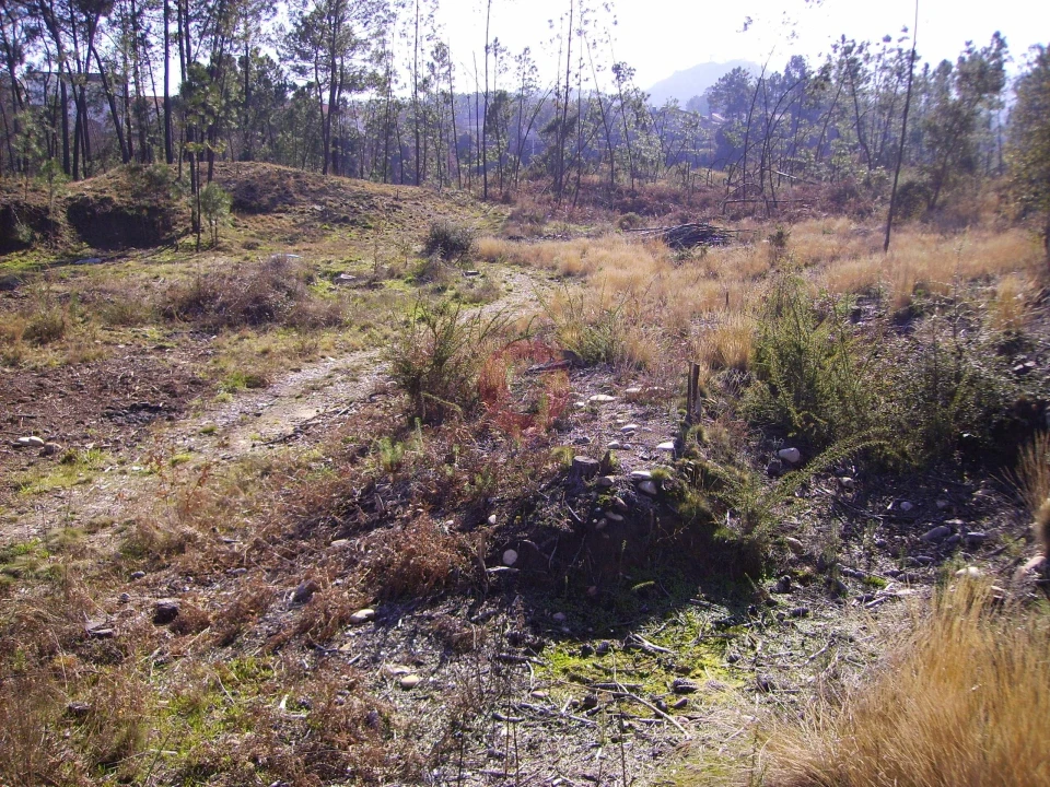 Terreno para Venda em Barbeita Foto 2