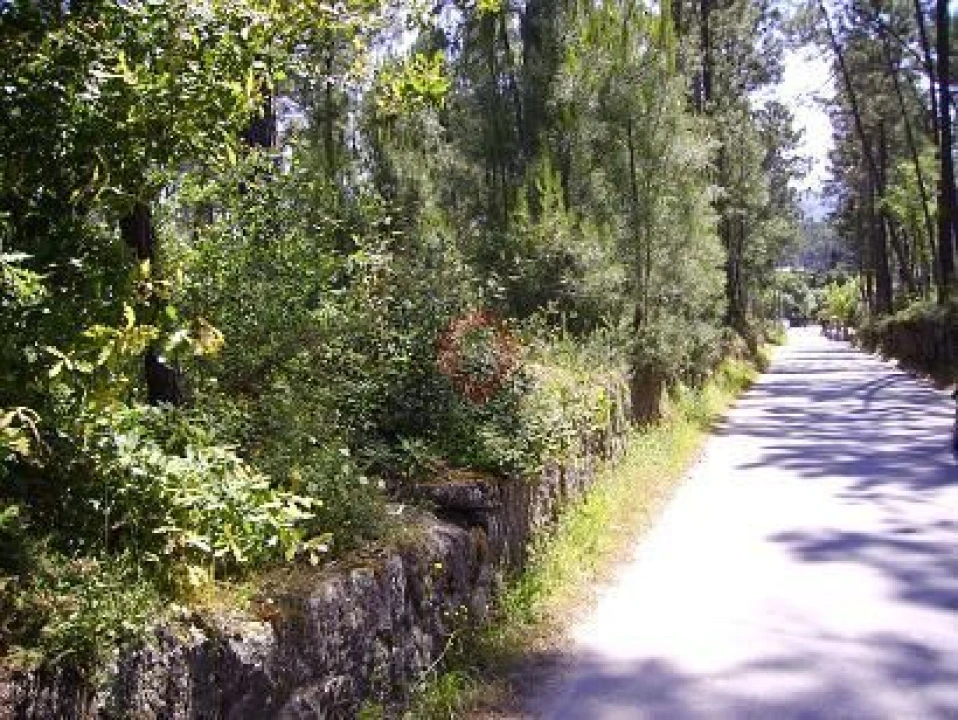 Terreno para Venda em Pinheiros Foto 1