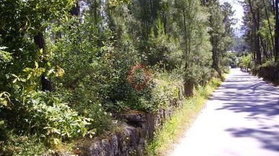 Terreno para Venda em Pinheiros