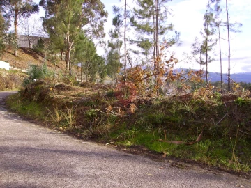 Terreno para Venda em Troporiz e Lapela