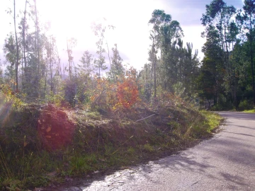Terreno para Venda em Troporiz e Lapela