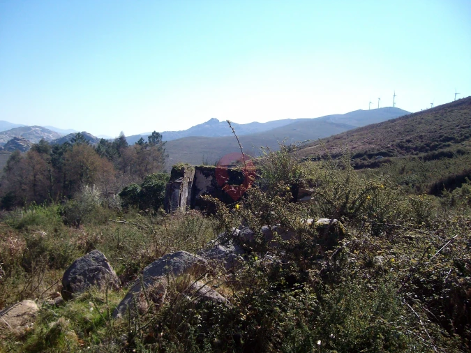 Terreno para Venda em Gondomil e Sanfins Foto 4