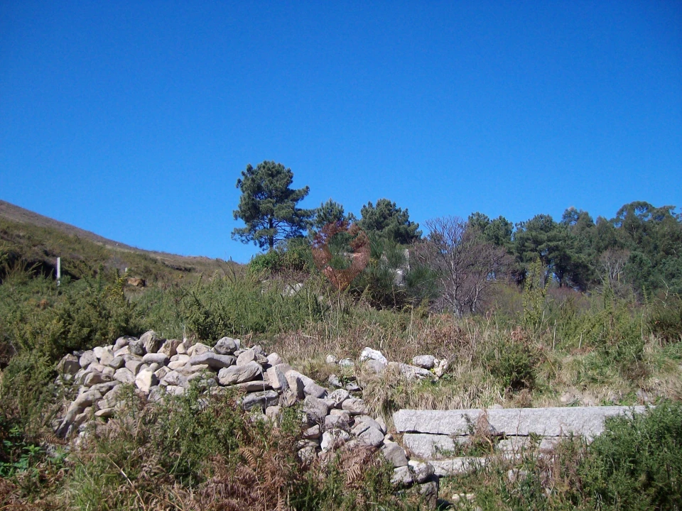 Terreno para Venda em Gondomil e Sanfins Foto 2