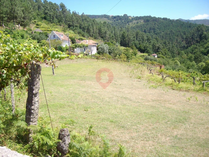 Terreno para Venda em Riba de Mouro Foto 1