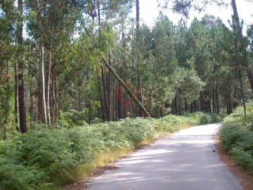 Terreno para Venda em Barbeita