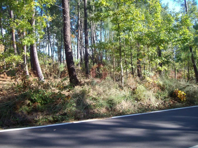 Terreno para Venda em Pinheiros