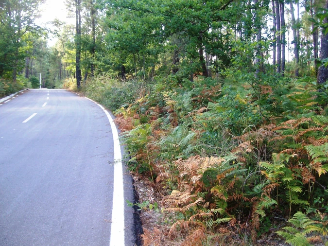 Terreno para Venda em Pinheiros Foto 2