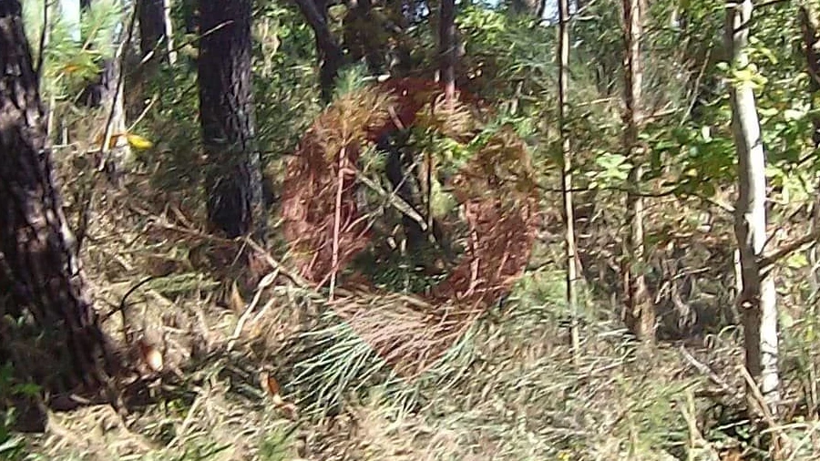 Terreno para Venda em Pinheiros