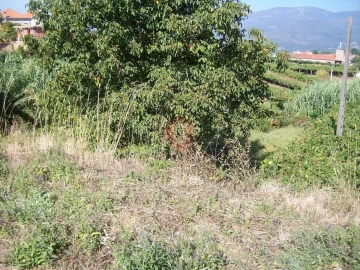 Terreno para Venda em São Paio