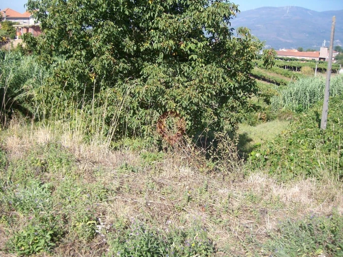 Terreno para Venda em São Paio